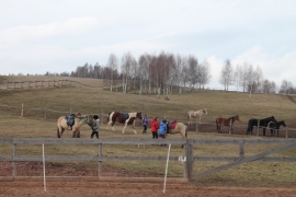 Stajnia u Kalinów - Jazdy konne